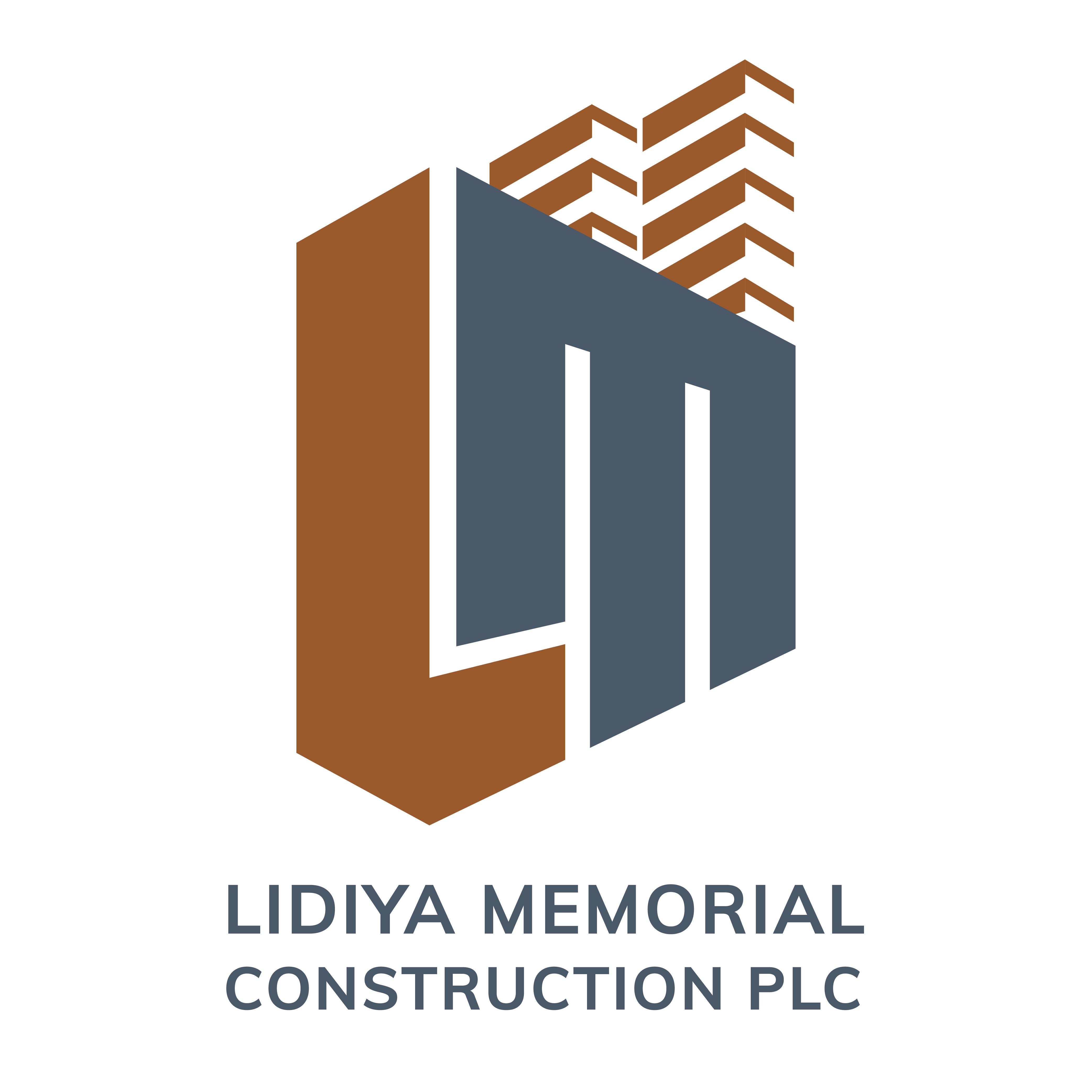 Lidiya Construction